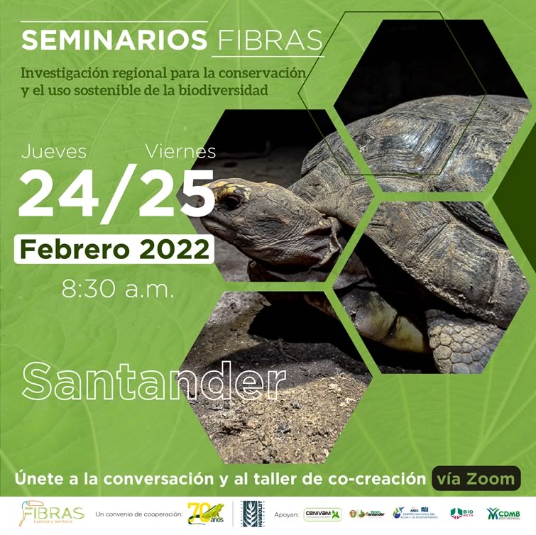 Imagen que muestra poster informativo del Seminario Fibras