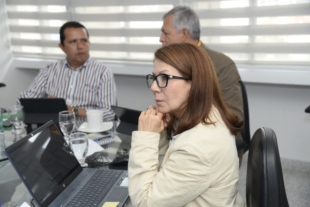 Imagen de la nueva consejera Raquel Díaz Ortiz durante la sesión del Consejo Superior UIS.