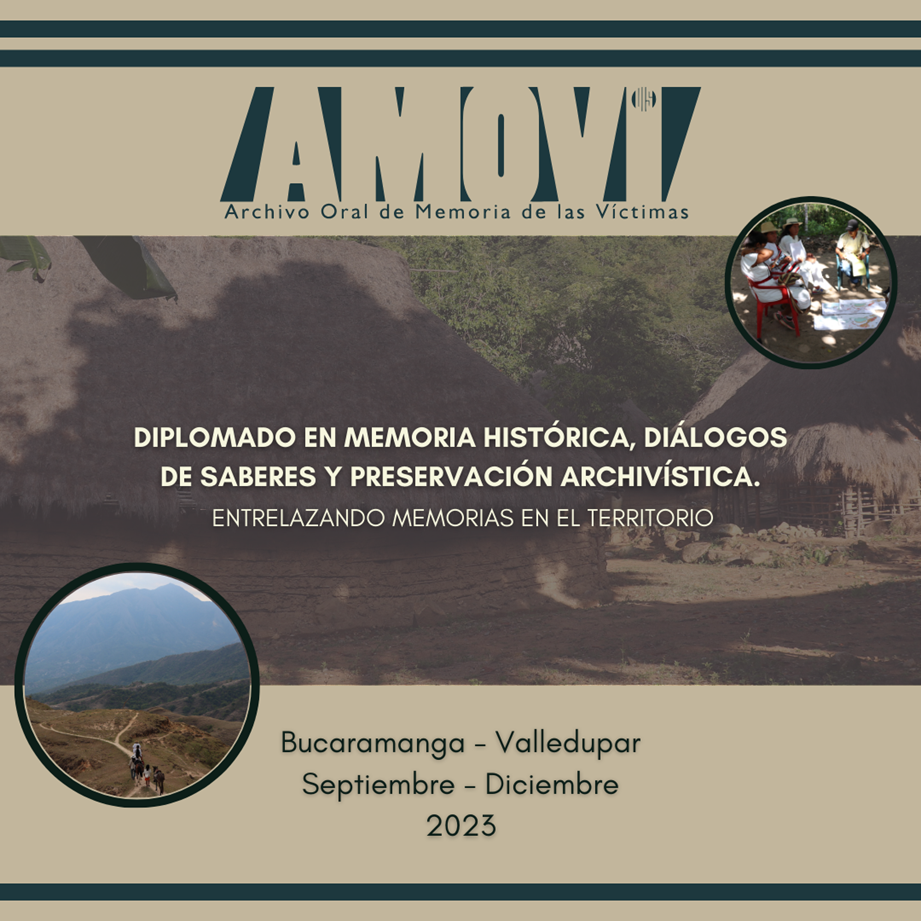 Banner informativo-promocional del Diplomado de Amovi-UIS. 