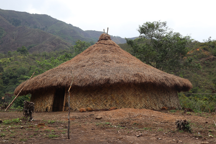Imagen de vivienda de la comunidad wiwa