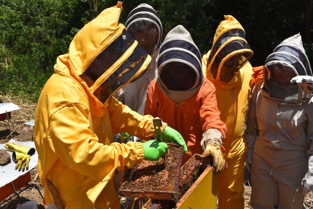 Imágenes de la visita de los estudiantes a Natural Bee.