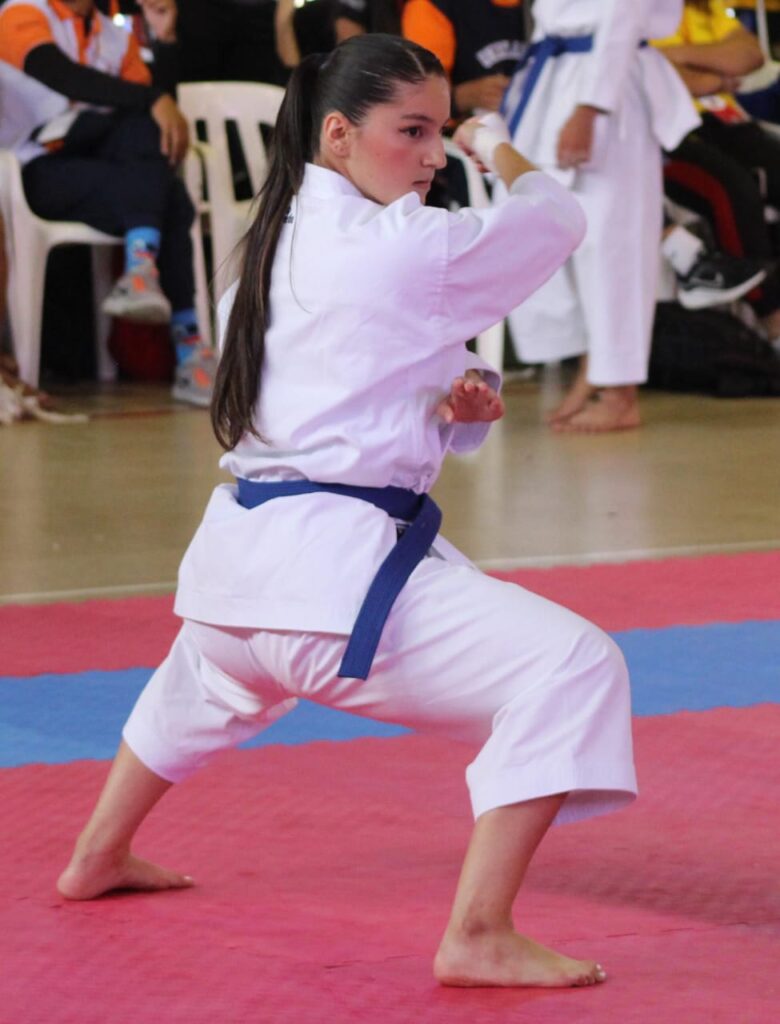 Imagen de karate do