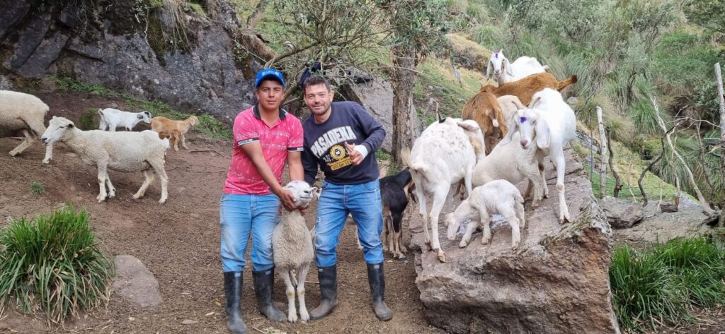 Estudiantes de séptimo semestre del programa de Zootecnia de la Sede UIS Málaga brindan asistencia técnica a los sistemas productivos de ovinos y caprinos que lideran mujeres campesinas del municipio del Cerrito.