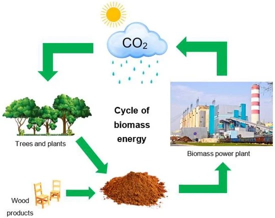 Ilustración del ciclo de la energía de la biomasa