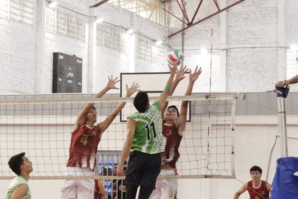 Imagen de voleibol masculino