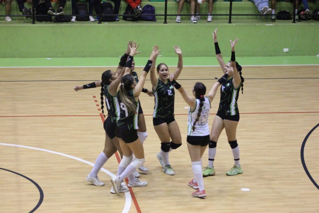 Imagen de voleibol femenino