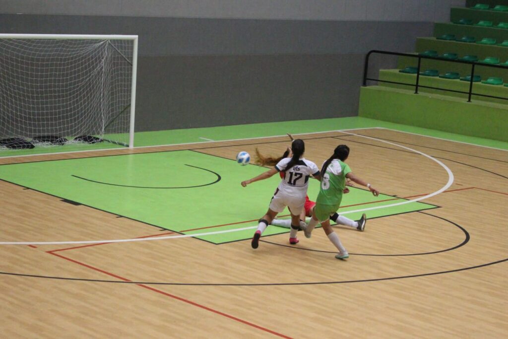 Imagen de fútbol sala femenino