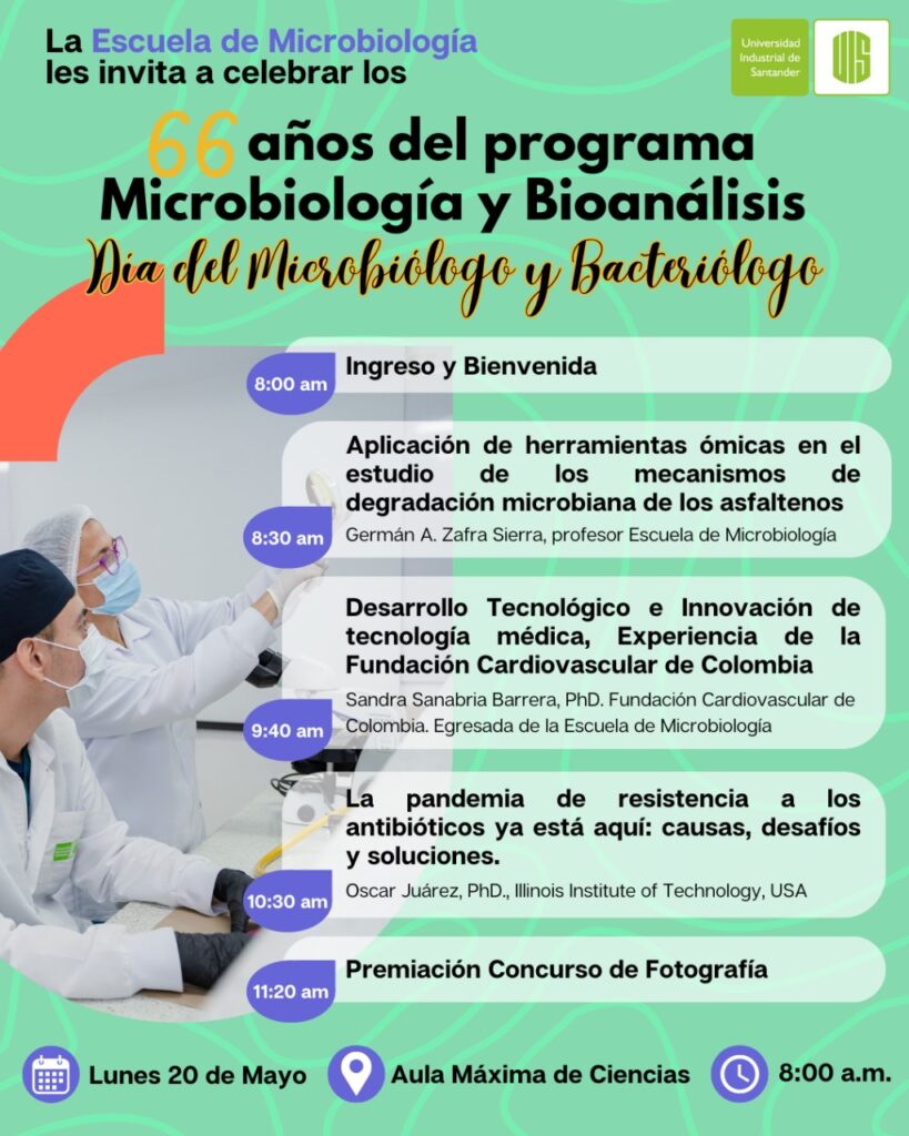 Programación de la actividad