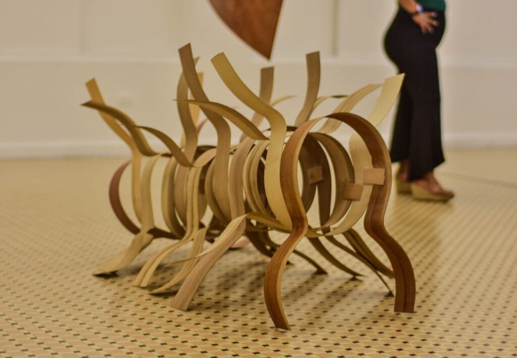 Wood is the protagonist of this new art exhibition in the 2024 season at IPRED UIS.