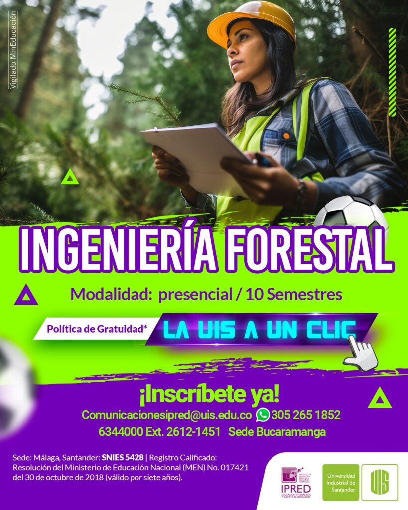 Pieza gráfica del programa del IPRED en  Ingeniería Forestal. 