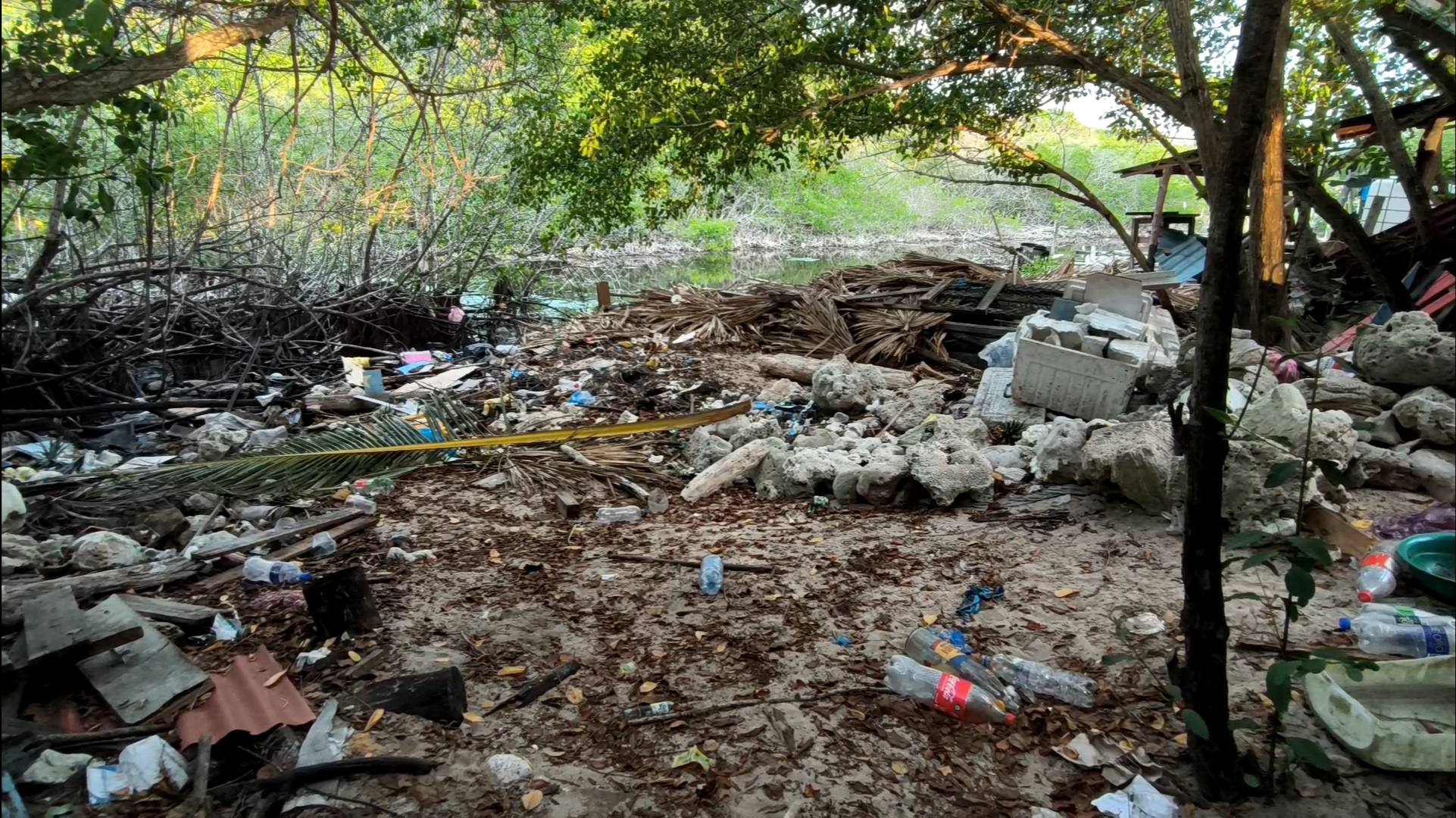 Los Microplásticos, un desafío ambiental en el mar caribe colombiano