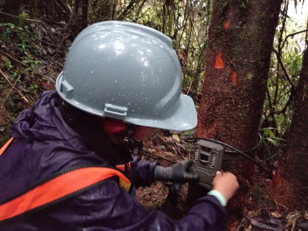 Estudiantes de la Sede UIS Málaga junto a la empresa Cartón de Colombia adelantan estudios de flora y fauna en bosques naturales de Caldas