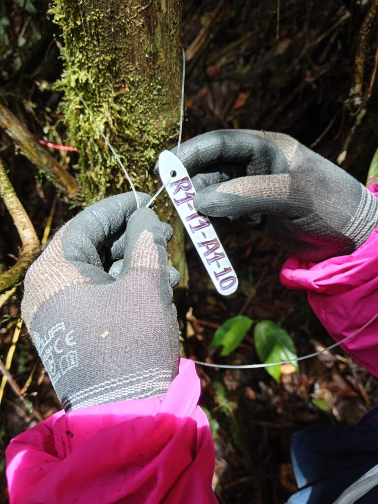 Estudiantes de la Sede UIS Málaga junto a la empresa Cartón de Colombia adelantan estudios de flora y fauna en bosques naturales de Caldas