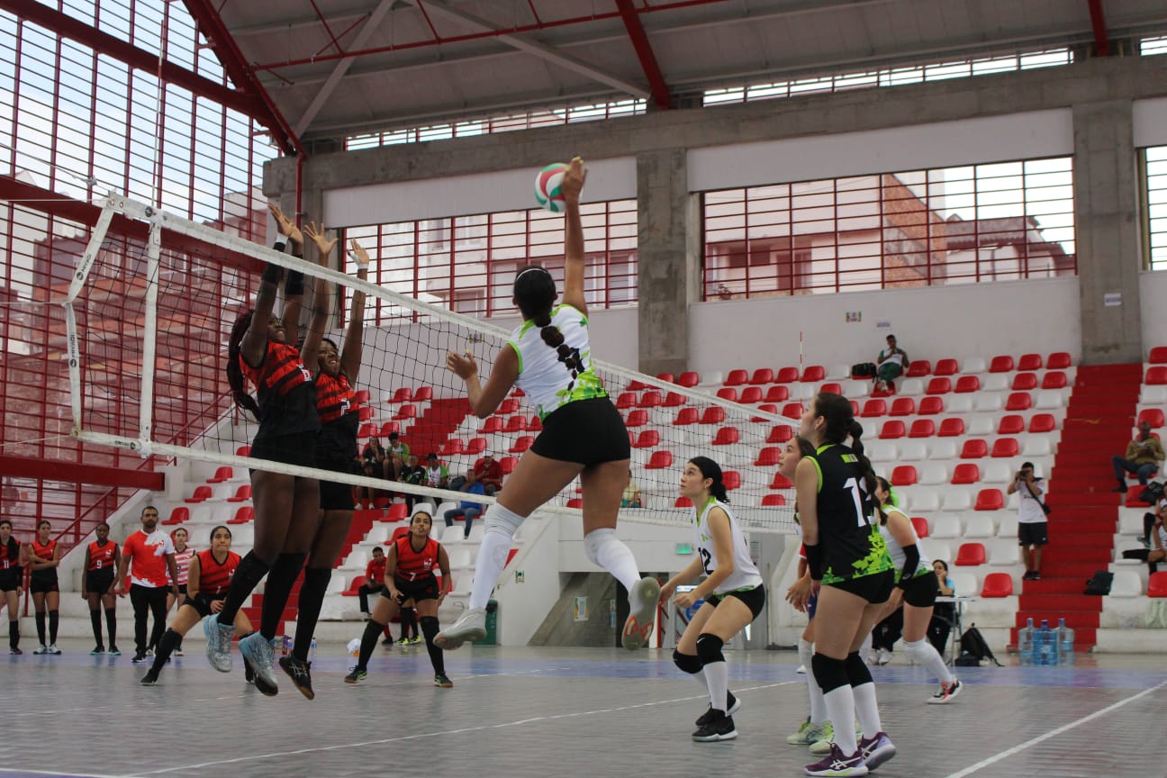 Imagen de voleibol femenino