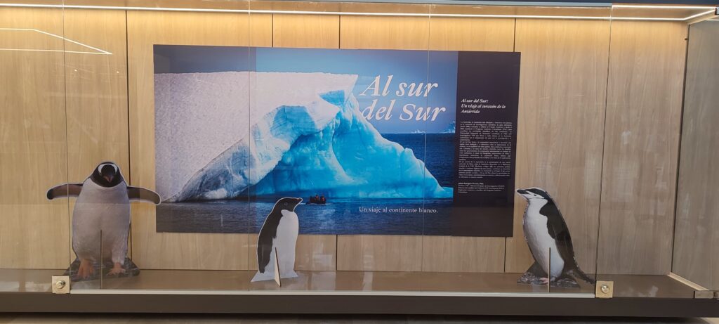 Entrada a la exposición fotográfica 'Al sur del Sur'