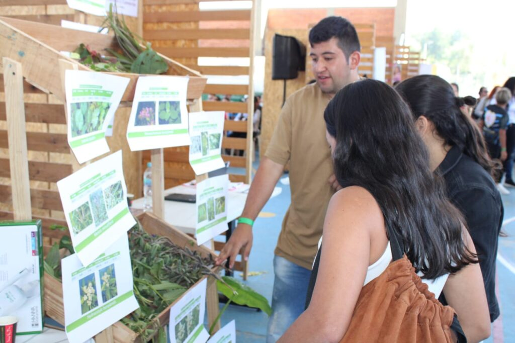 Members of the Sipaf Semillero of the Zootechnics program of the UIS Malaga Campus socializing to the public the topic of pastures and forages of the region.