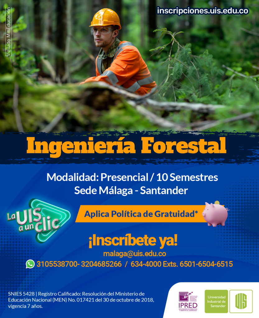 Pieza gráfica promocional de ingeniería Forestal