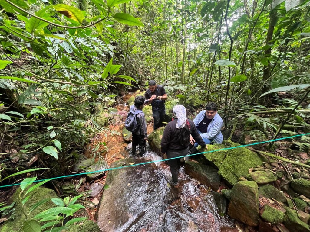 Estudiantes y profesionales de Biología UIS buscando la rana arlequín del “Monito” en Serranía de los Yariguíes.