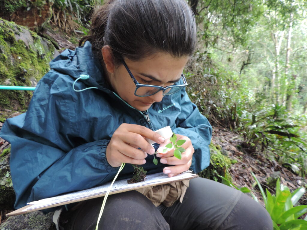 Imagen de investigadora explorando las plantas