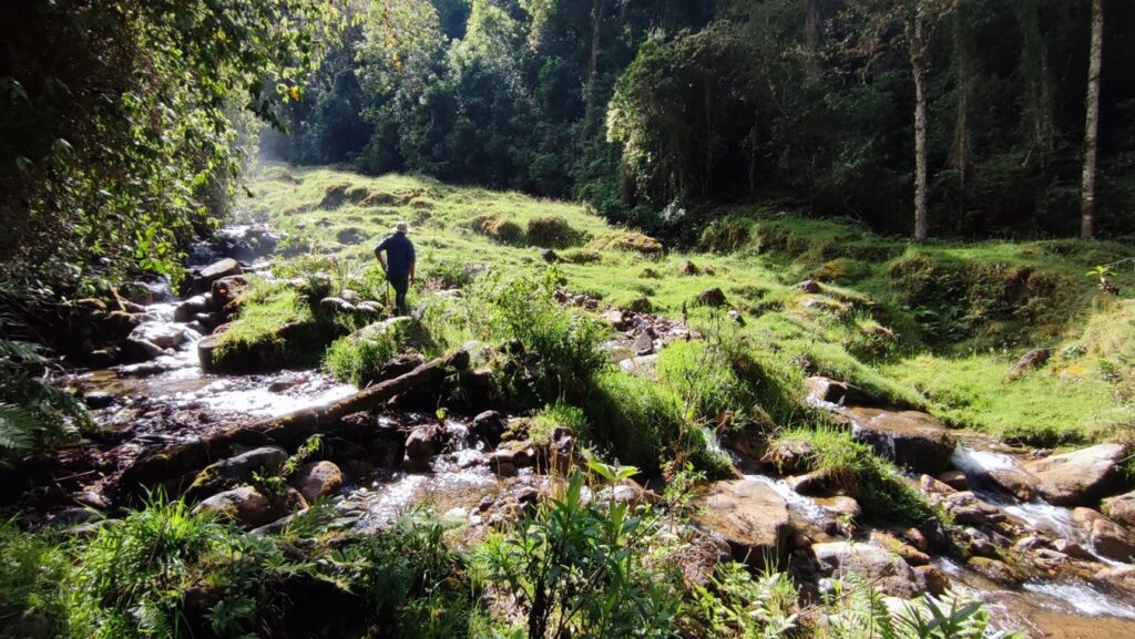 Hábitat natural de Atractus Muisca en el municipio de Málaga