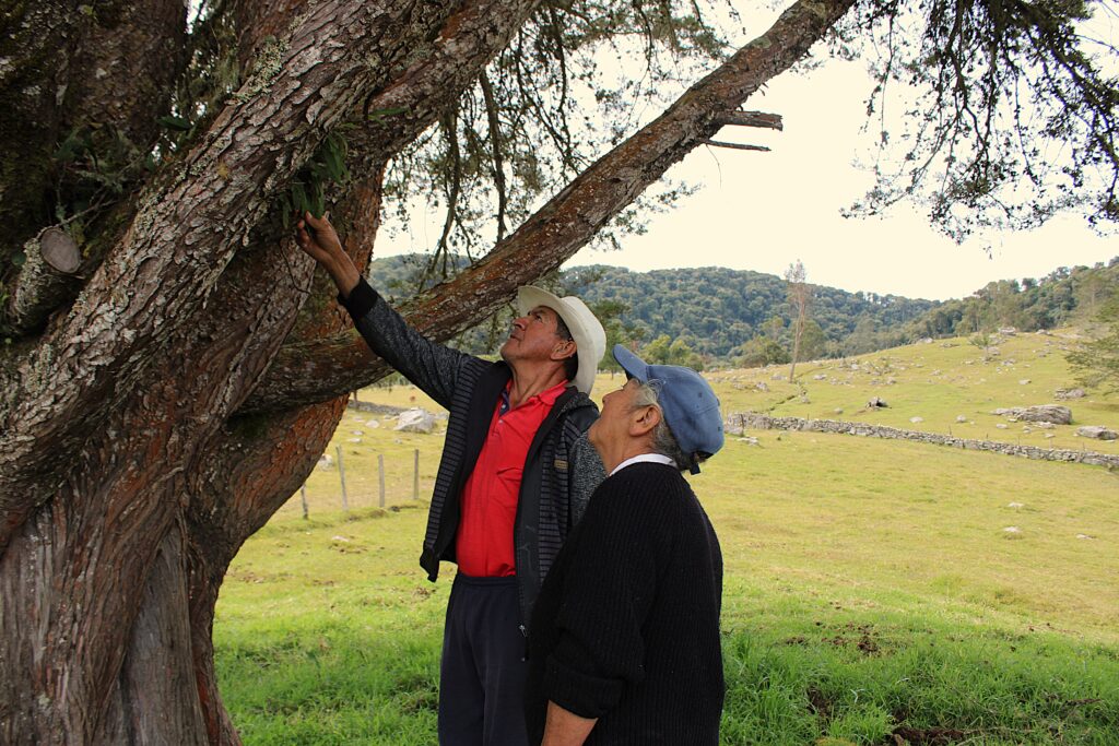 Esposos Ángel María Rodríguez, de 77 años, y Carmen Carrillo, de 70; quienes llevan toda su vida en el sector de Barro Hondo.