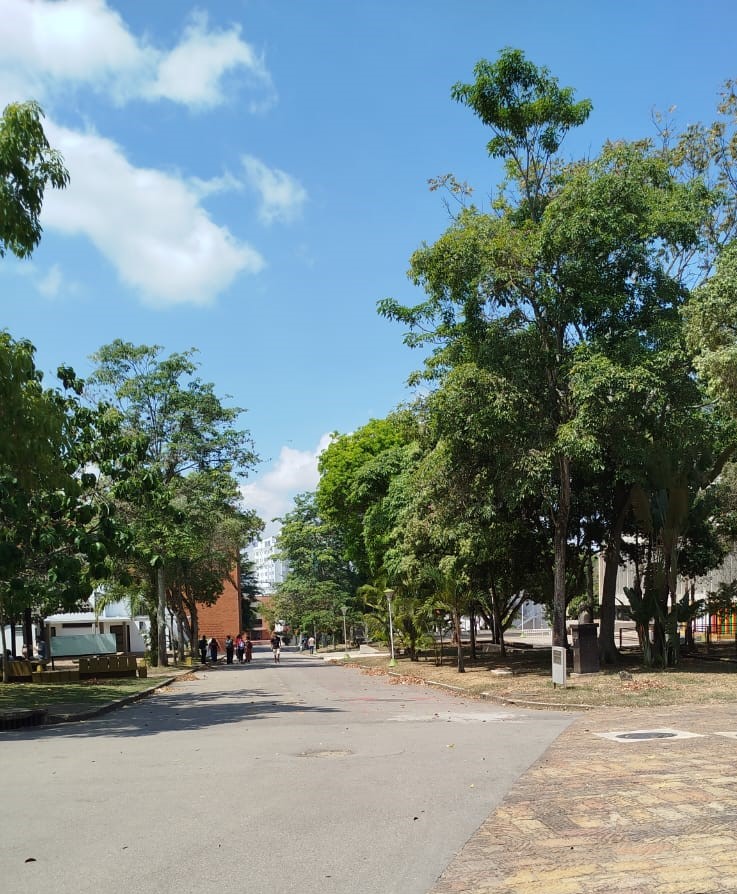 Aspecto actual de la Avenida Julio Álvarez Cerón.