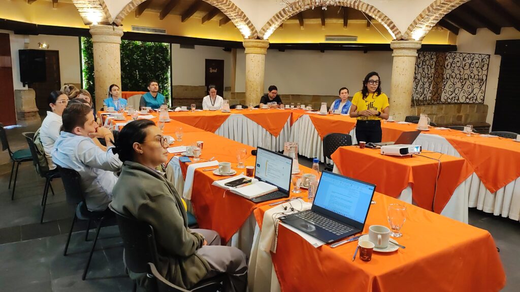 Profesional de Enfoques del PSCP-UIS presenta el Programa ante las secretarías de Educación de Norte de Santander 