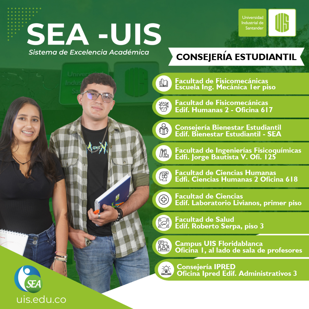 Línea gráfica servicios de consejería estudiantil UIS 2025.