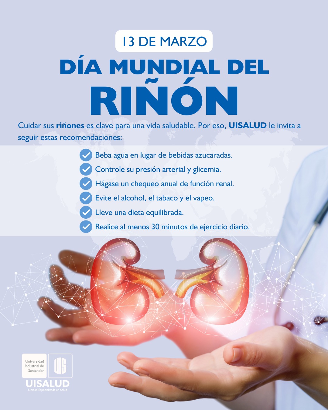 Pieza gráfica con información sobre los cuidados del riñón.