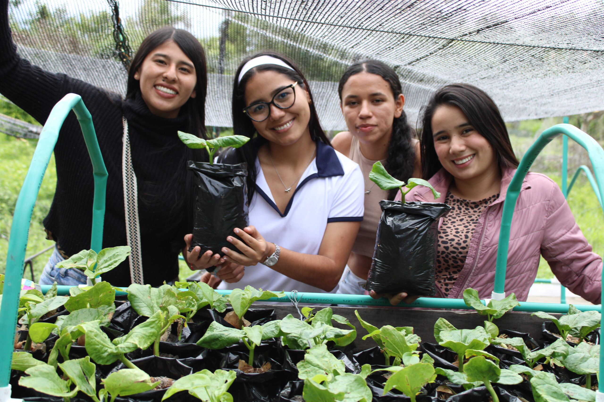 Estudiantes de forestal con ceibas barrigonas germinadas.