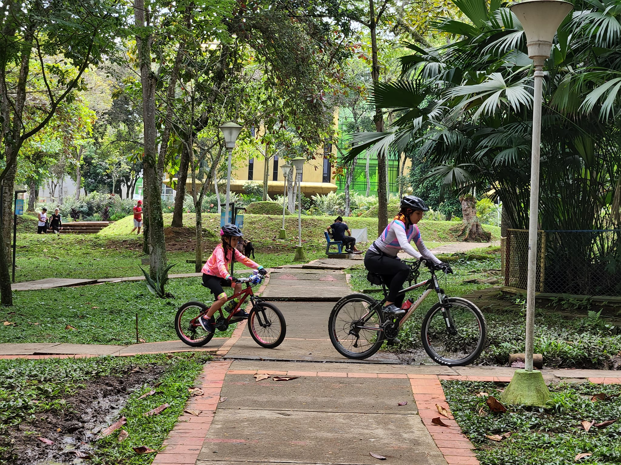 Vecinos y Amigos es un espacio de arte, deporte y entretenimiento para toda la familia.