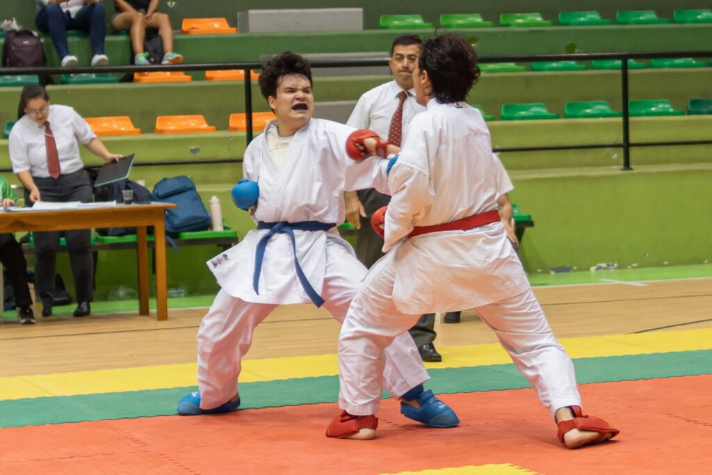 Imagen que muestra una acción de karate do