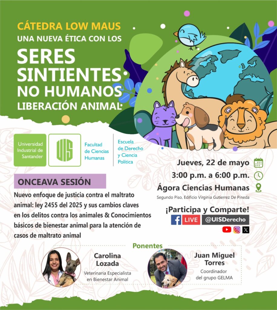 Línea gráfica de la octava sesión de cátedra Low Maus