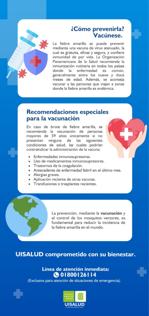 Pieza gráfica con explicación de la fiebre amarilla