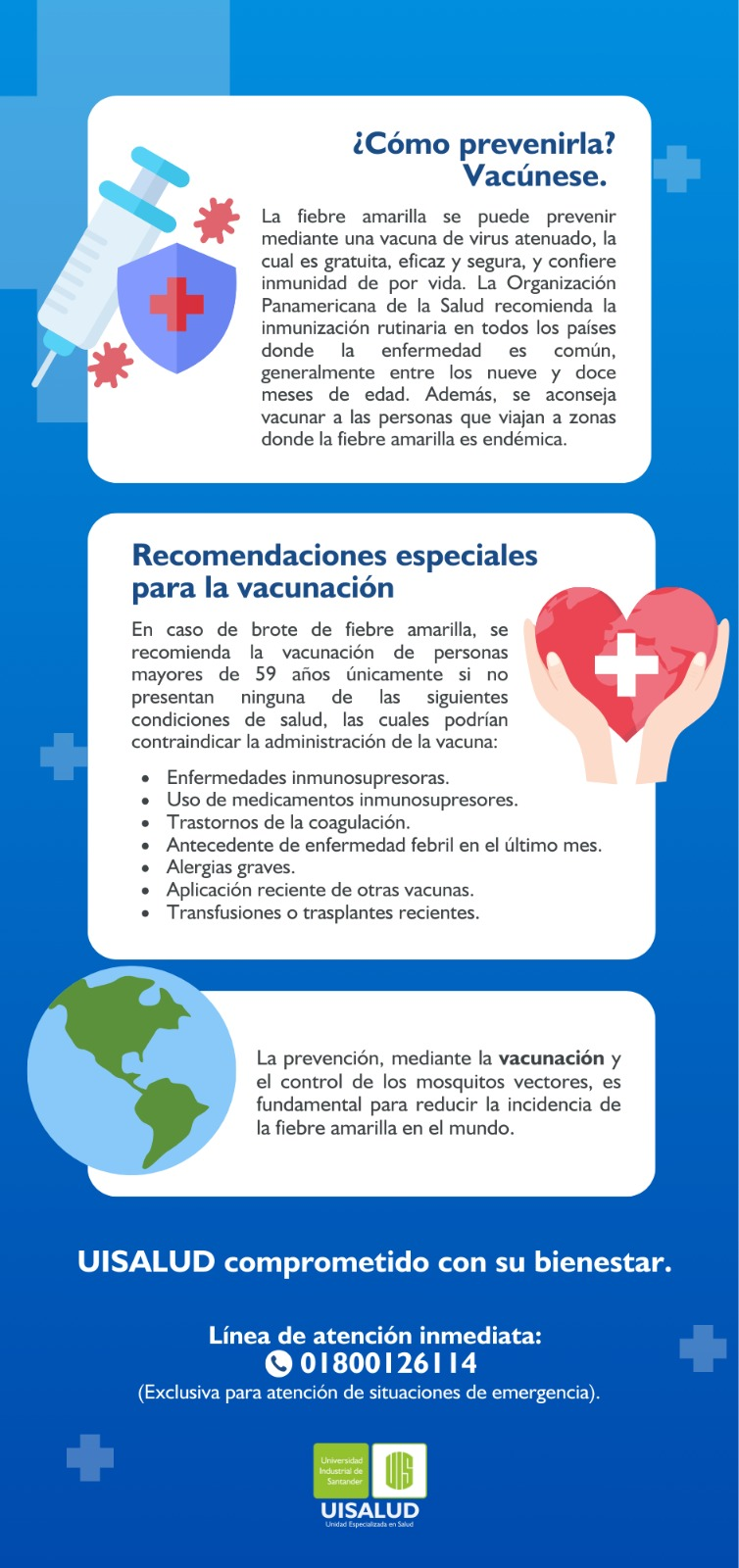 Pieza gráfica con explicación de la fiebre amarilla