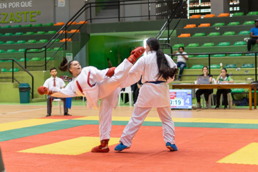 Image showing a karate do action
