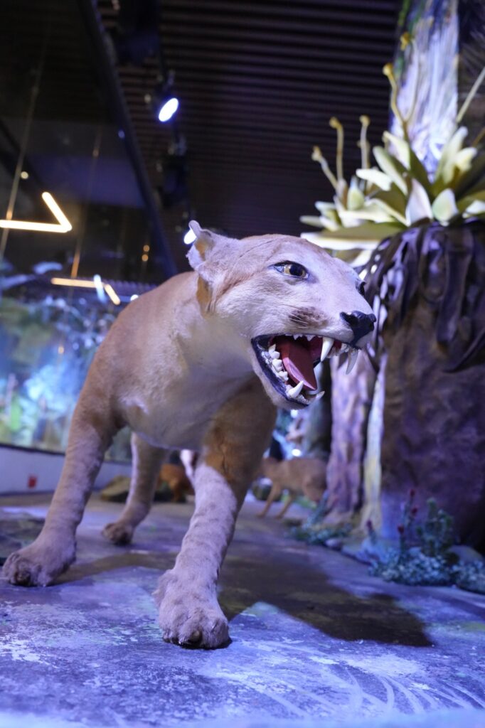 Imagen del Museo de Historia de la UIS