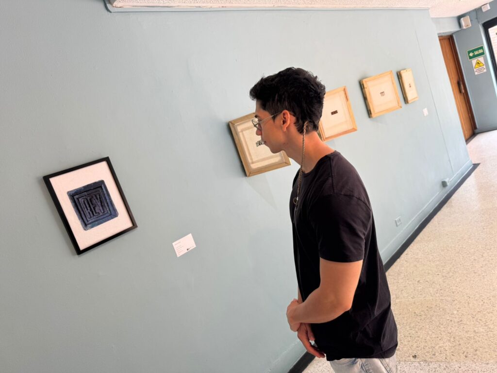 Image of a spectator viewing the exhibition.