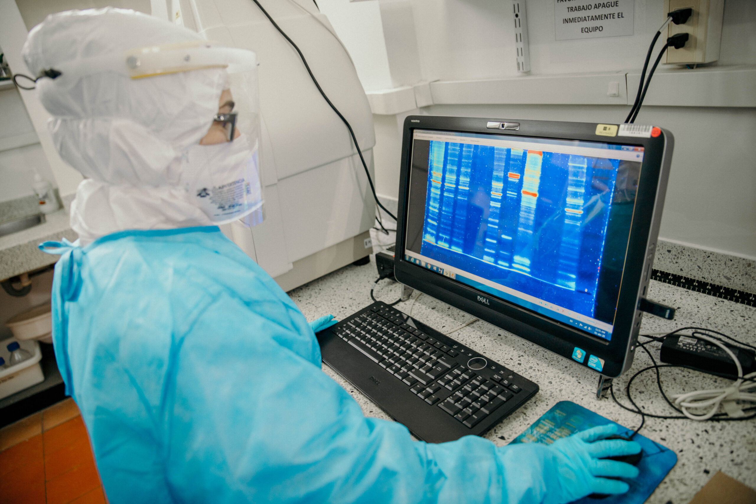 INVESTIGADORES