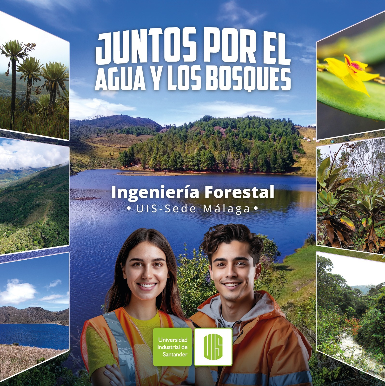 Flyer de la Cumbre del agua anunciando el programa de Ingeniería Forestal