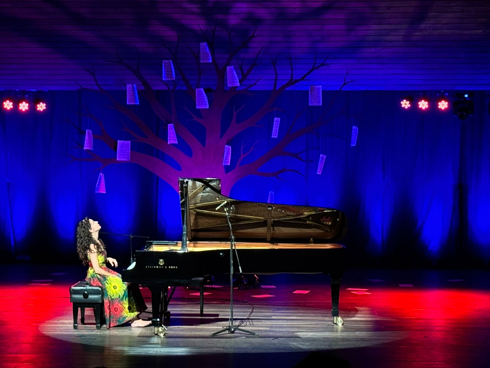 Imagen que muestra una gala del Festival de Piano