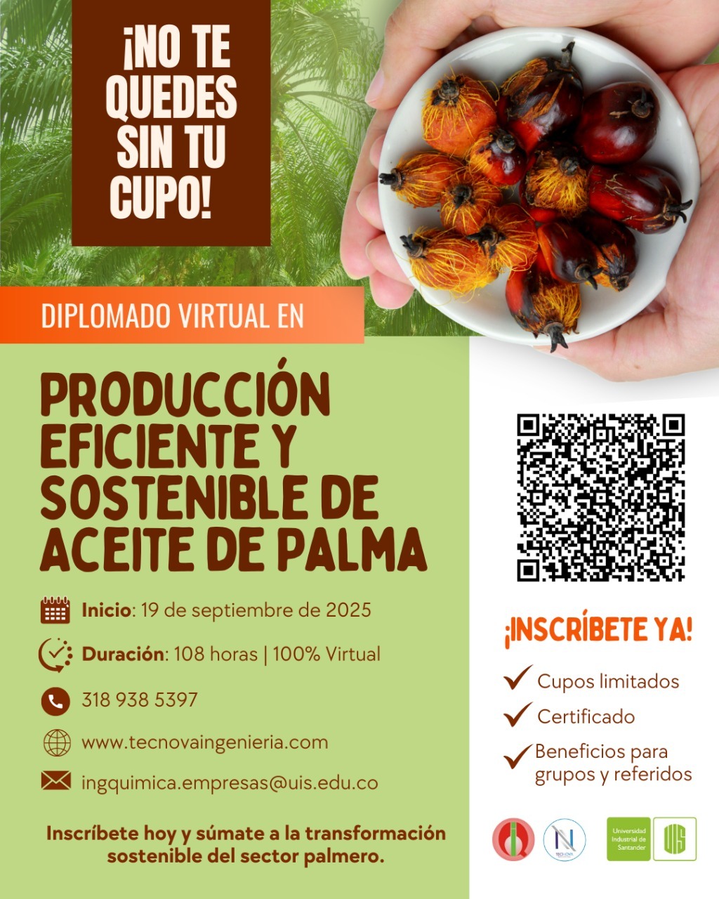 línea gráfica diplomado en producción eficiente de aceite de palma 2025.