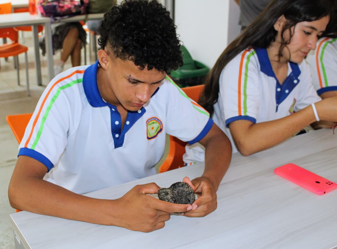 Estudiantes de colegio viendo fósiles.