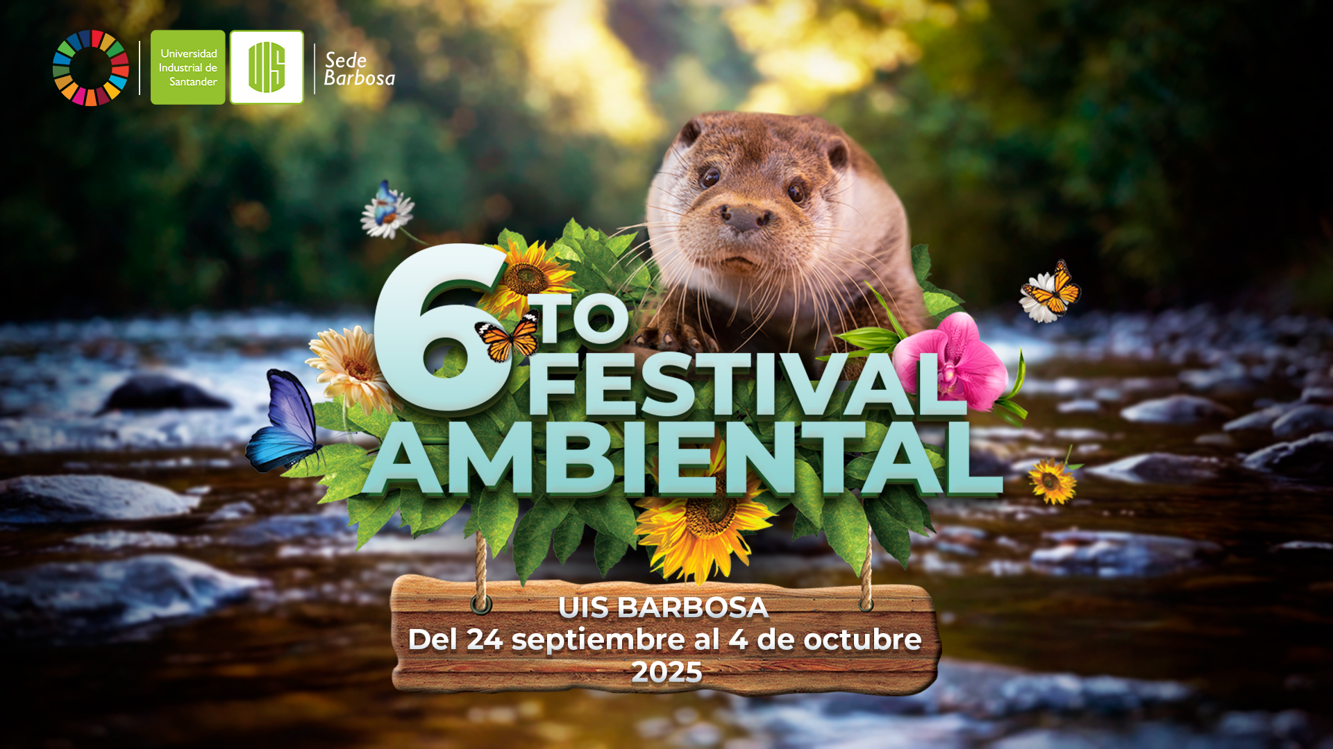 Pieza gráfica Festival Ambiental
