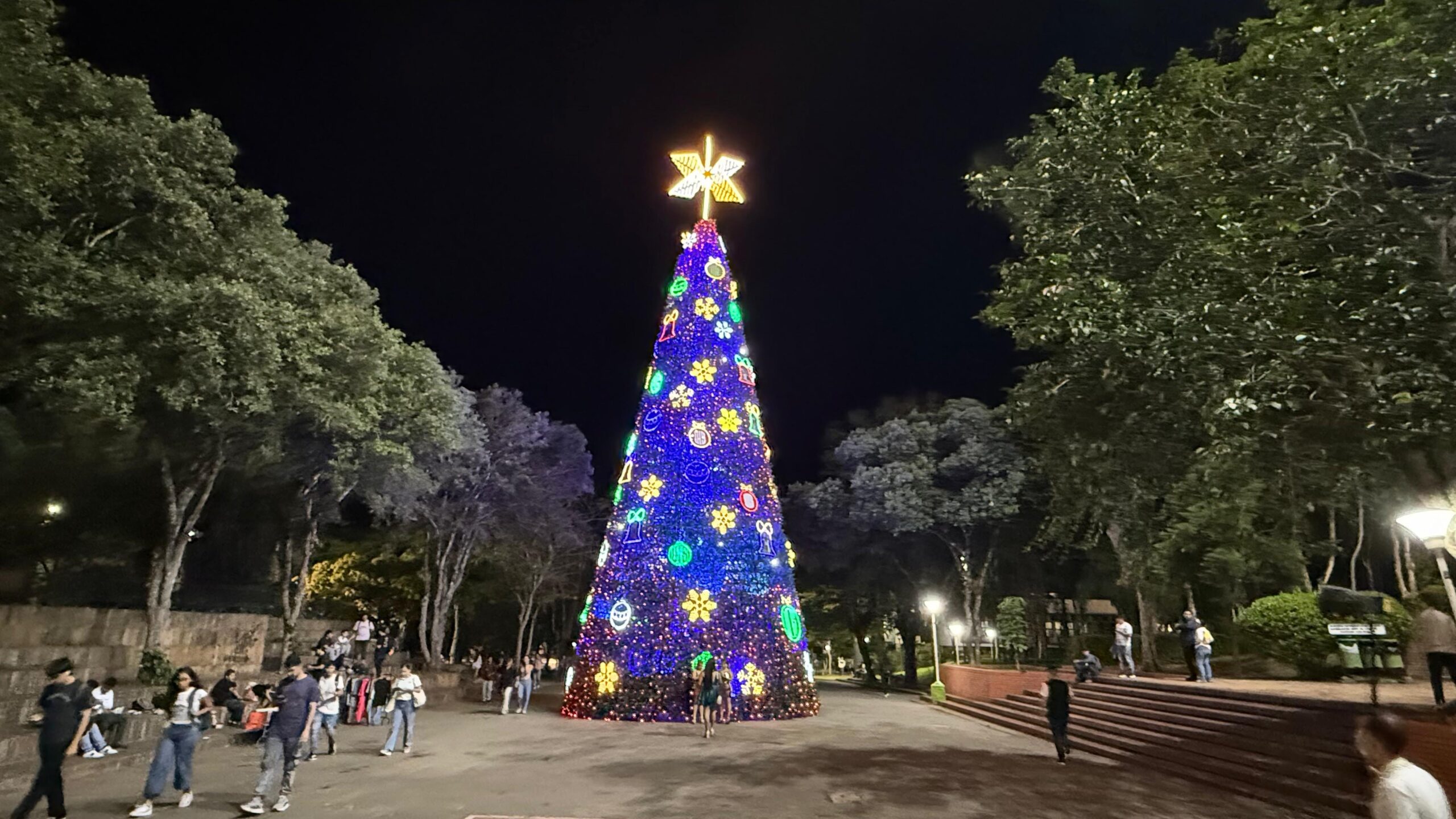Navidad UIS