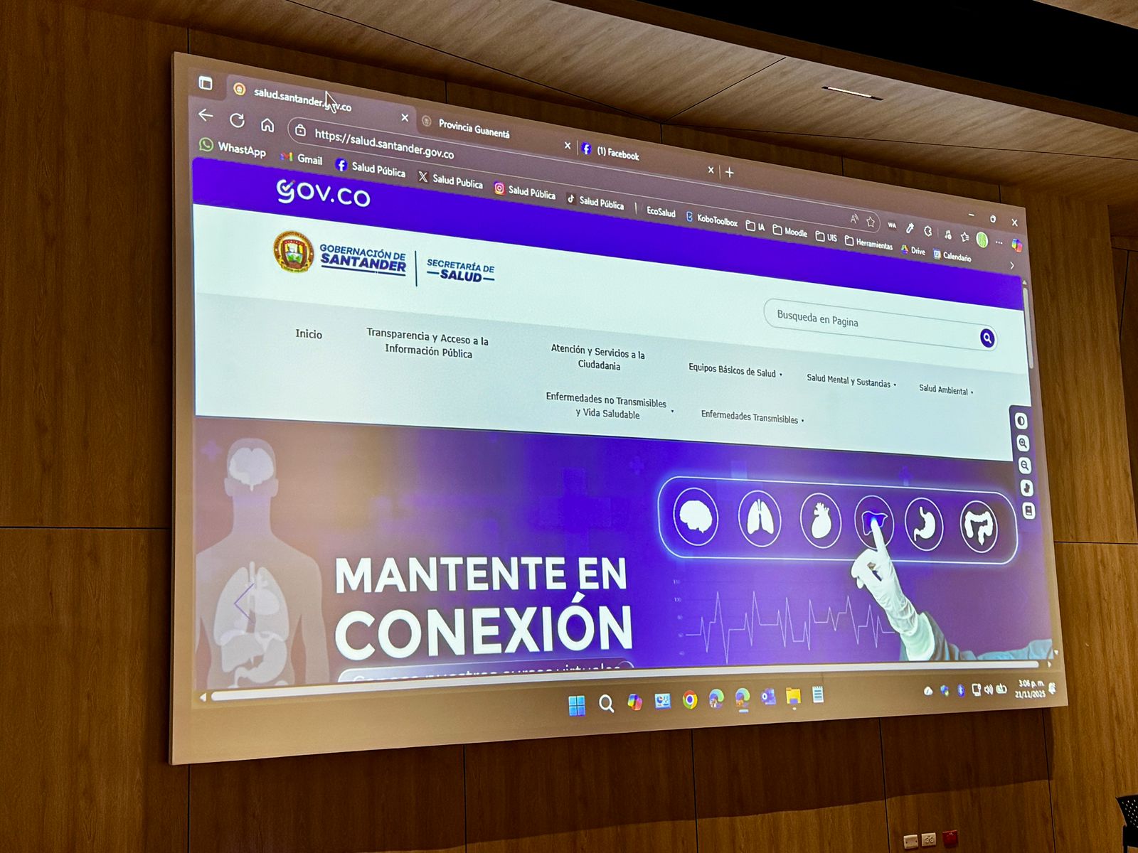 Imagen de la página web