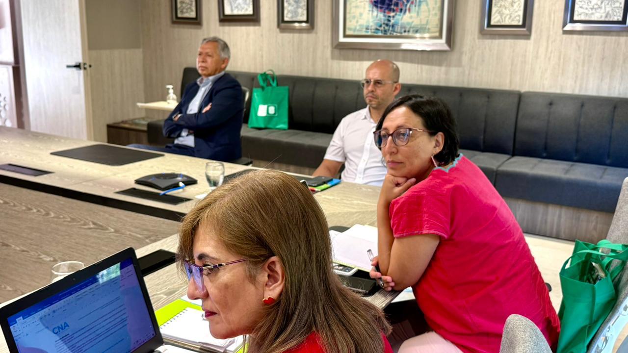 visita pares