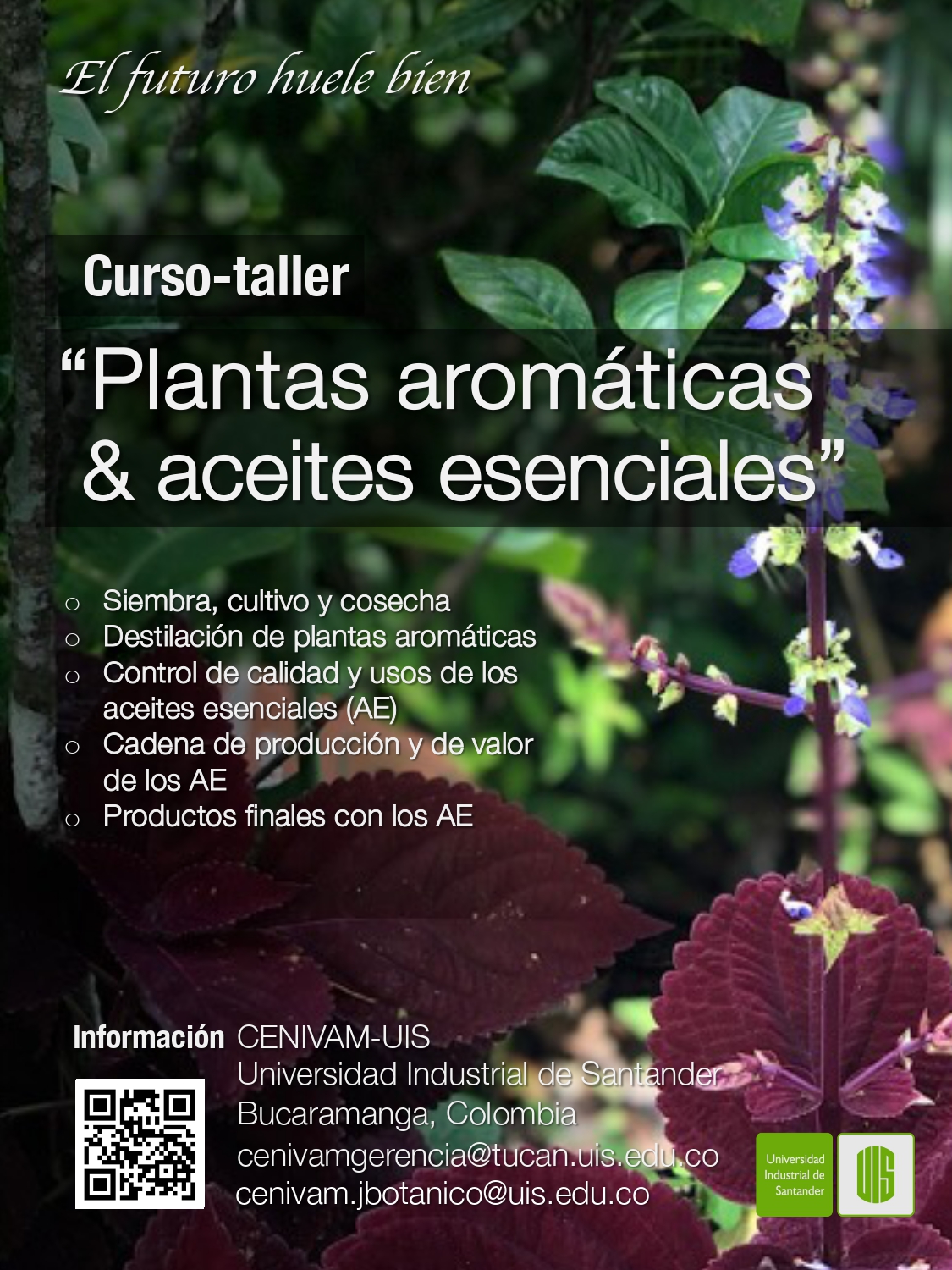 Curso Plantas aromáticas