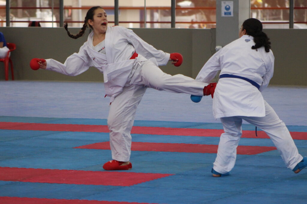 Imagen que muestra una acción de Karate Do.