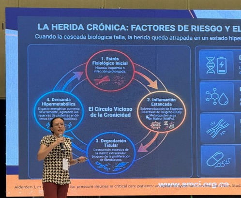 Presentación